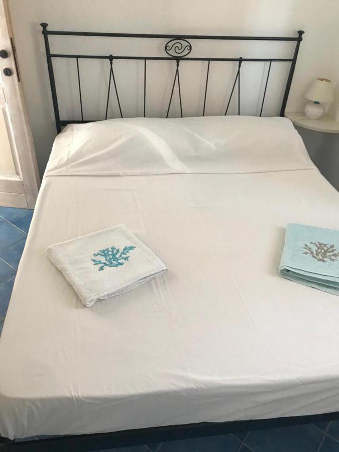 Tiffany Palau Bed & Breakfast Luaran gambar