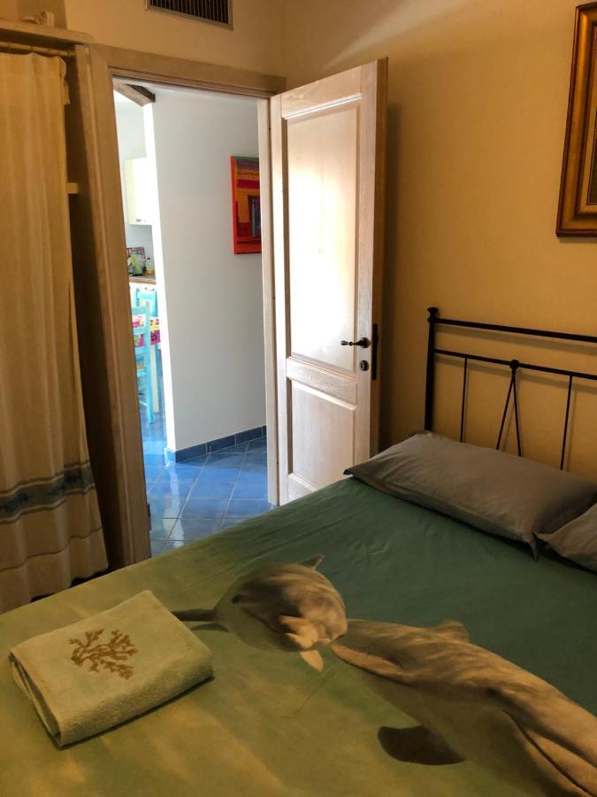 Tiffany Palau Bed & Breakfast Luaran gambar